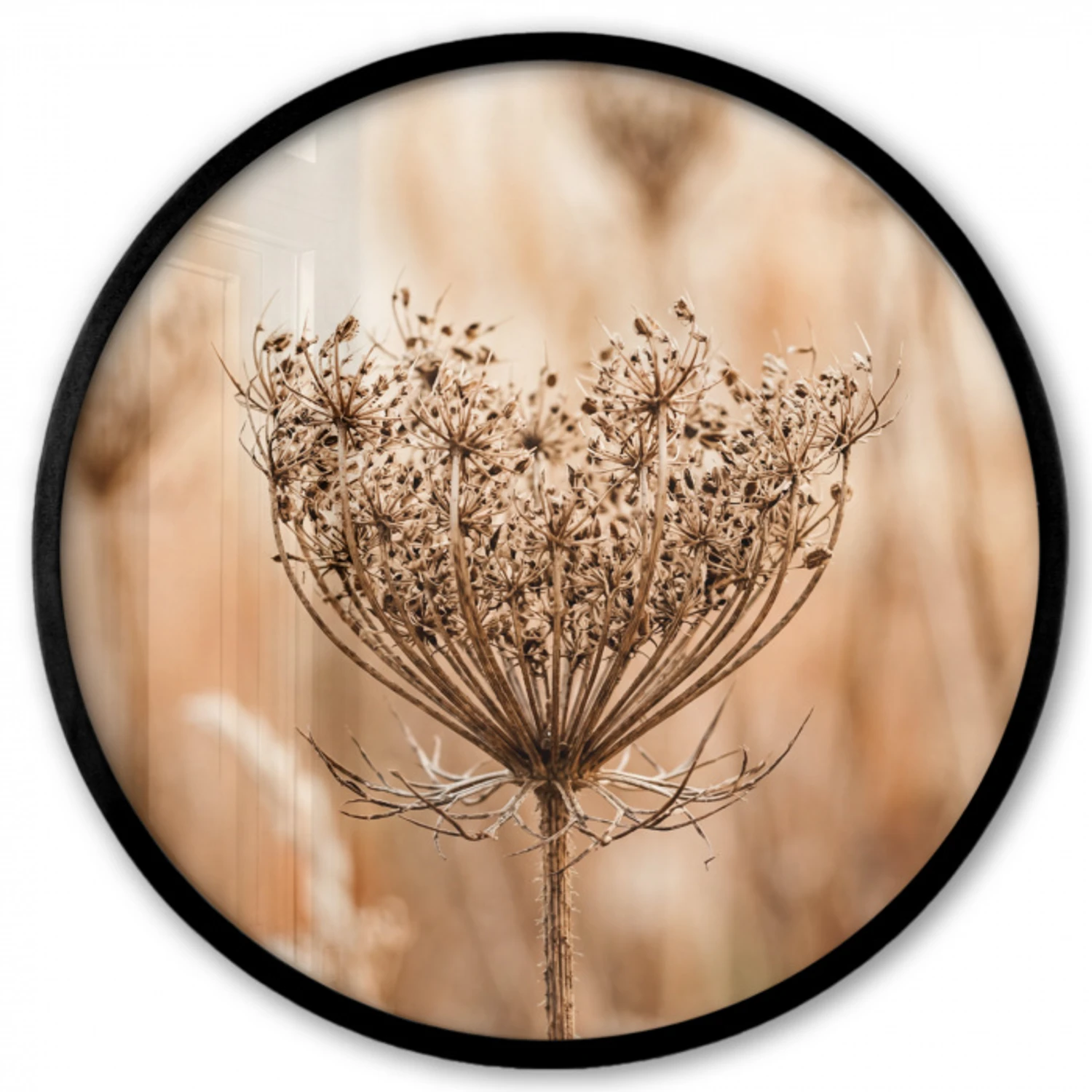 Schermbloem - Droogbloem - Winter - Beige - Minimalistisch Fotolijst rond zonder passe partout klein -3d