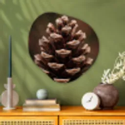 Dennenappel - Bos - Herfst - Bruin - Sfeervol Wandcirkel Organisch Aluminium middel -sfeer2