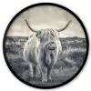 Schotse hooglander - Dieren - Wolken - Koe - Natuur Fotolijst rond zonder passe partout klein -3d
