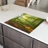 Zon - Bos - Bomen - Natuur - Herfst Inductie beschermer vinyl 3mm middel -sfeer8