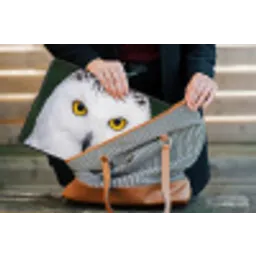 Sneeuwuil - Portret - Geel laptophoes neopreen klein -tas