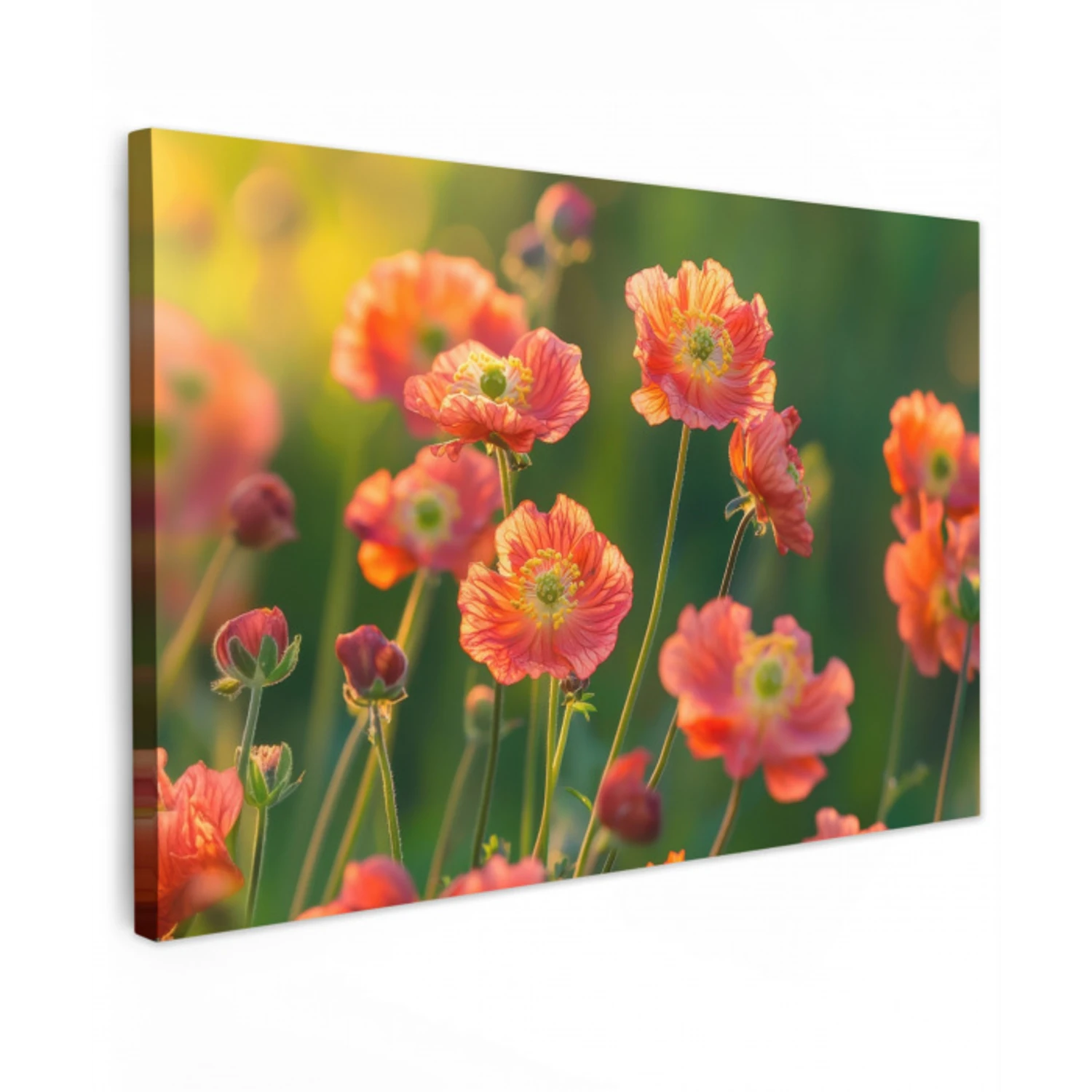 Bloemenveld - Zonnestralen - Oranje Tuinposter op houten frame 2 cm dik klein -3d