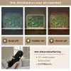 Groen - Bladeren - Kartel - Zonlicht Light Box met batterij (Wandlamp) middel -USP_lichtkleurNL