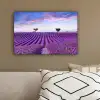 Lavendel - Natuur - Paars - Bomen - Bloemen canvas 2cm klein -sfeer3