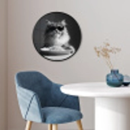 Langharige kat - Zonnebril - Spaghetti - Humor - Zwart - wit Fotolijst rond zonder passe partout klein -sfeer2