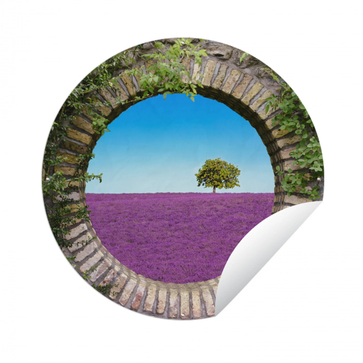 Lavendel - Doorkijk - Bloemen - Zomer Wandcirkel tuinposter met ringen klein -3d