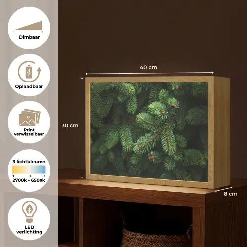 Sparrentakken - Knoppen - Naalden - Groen Light Box met batterij (Wandlamp) middel -USP_websiteoverzichtNL