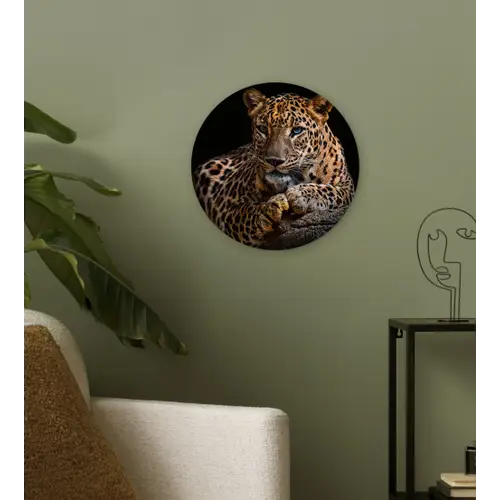 Wilde dieren - Panter - Portret - Zwart - Dieren Wandcirkel kunststof plaat 5mm dik klein -sfeer3