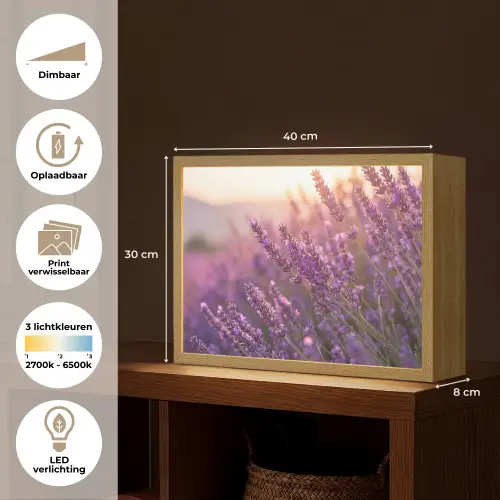 Lavendel - Paars - Zonlicht Light Box met batterij (Wandlamp) middel -USP_websiteoverzichtNL