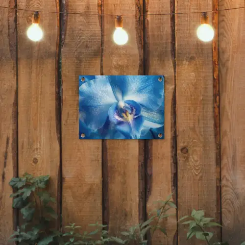 Blauw - Orchidee - Elegeant tuinposter los doek klein -sfeer1