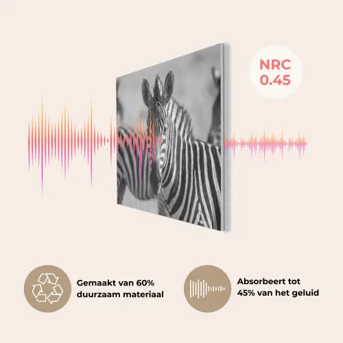 Zebra's - Zwart - Wit PET vilt klein -USP_NL