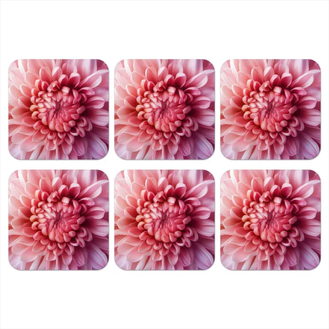 Coaster - Dahlia - Flower - Close up - Pink