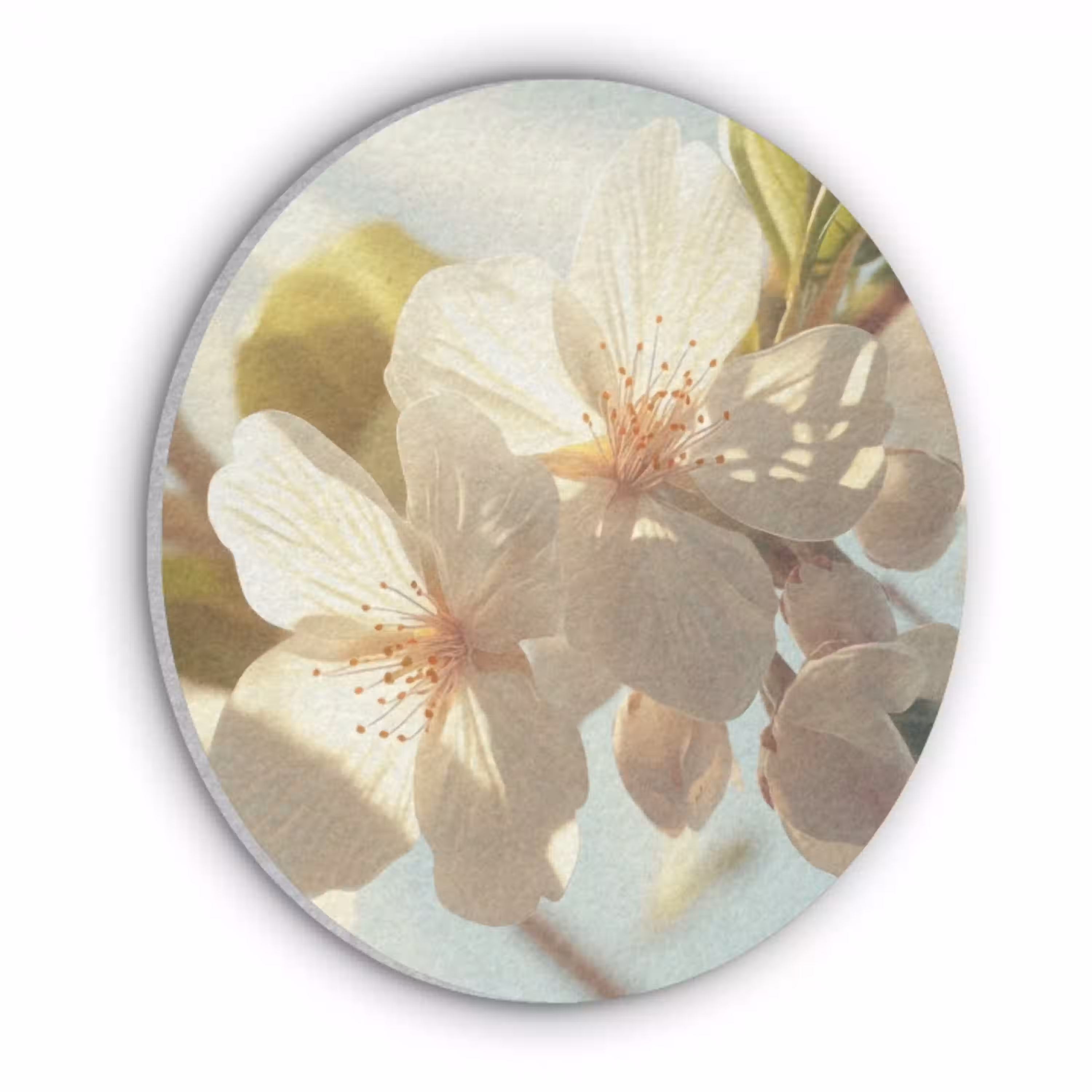 Bloesems - Wit - Zonnestralen -  Bloemblaadjes Akoestische PET Vilt - Rond klein -3d