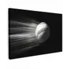Honkbal - Wit - Vliegt canvas 2cm klein -z3d