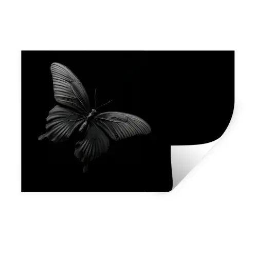 Vlinder - Zwart - Insect - Dieren Muursticker klein -3d