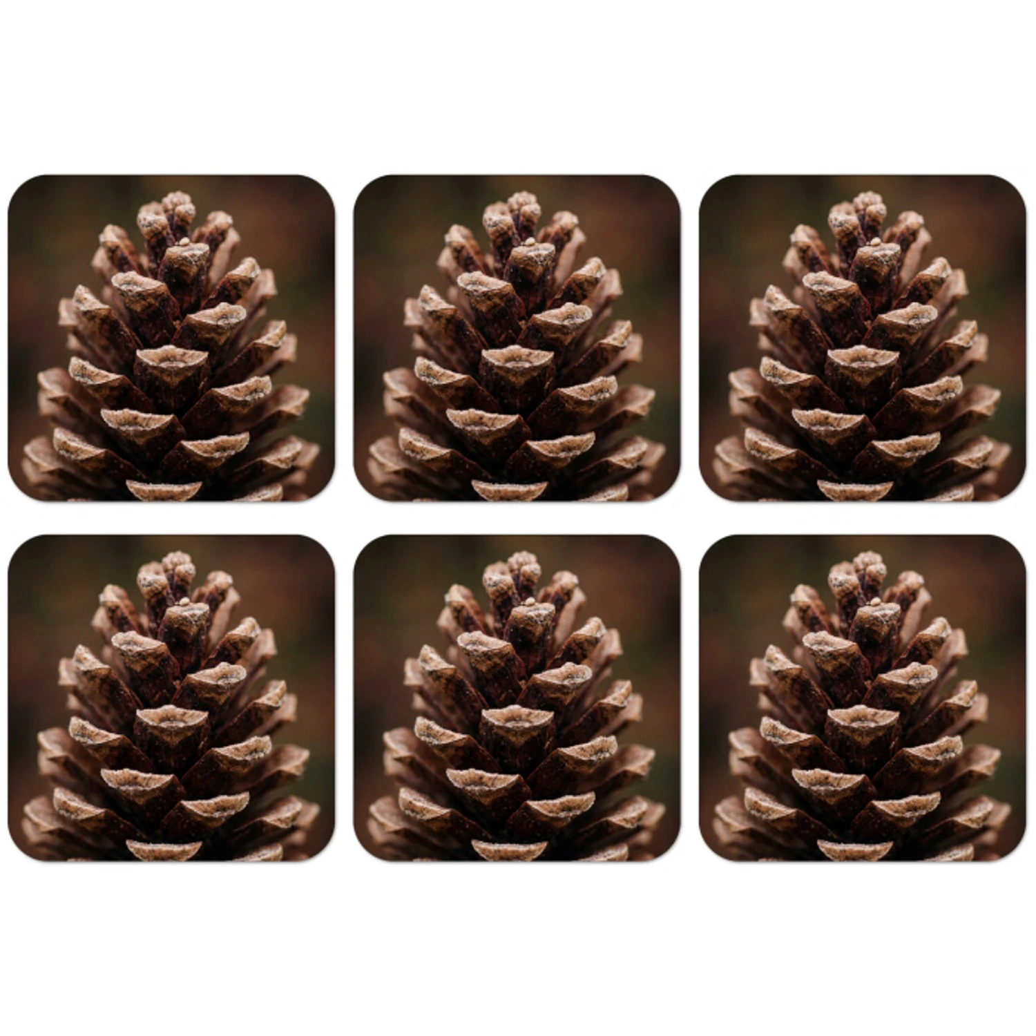 Dennenappel - Bos - Herfst - Bruin - Sfeervol onderzetter kurk middel -zkaufland3dotto