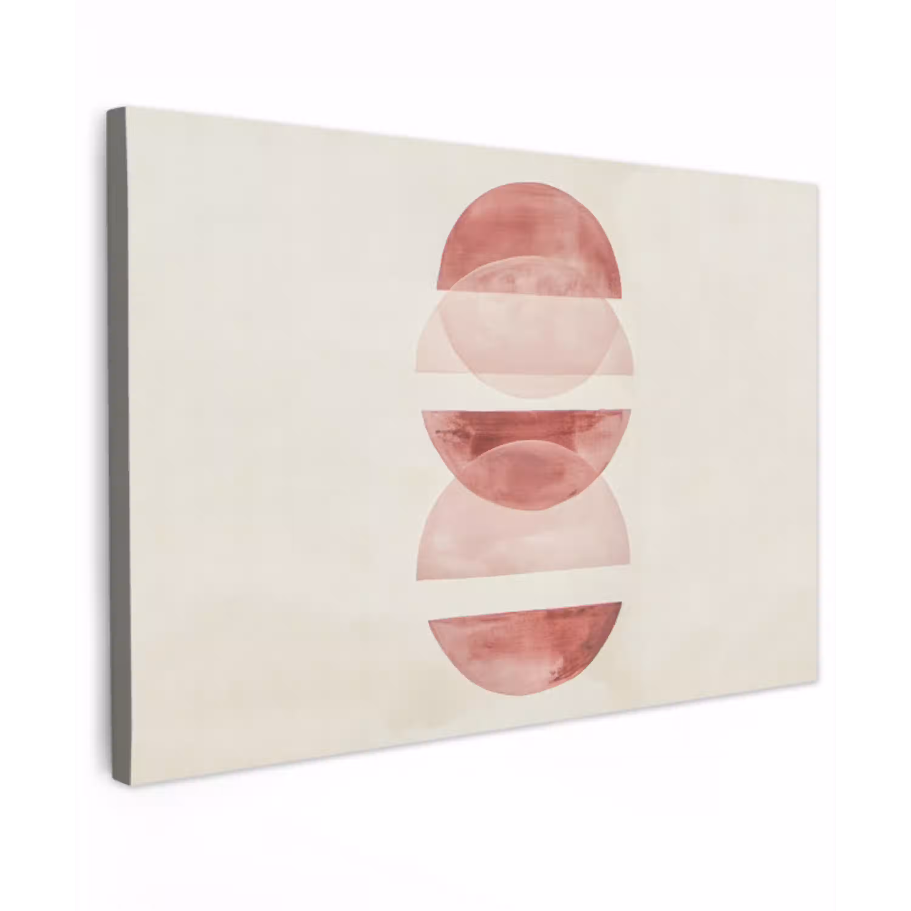 Minimalistisch - Cirkels - Roze Tuinposter op houten frame 2 cm dik klein -3d