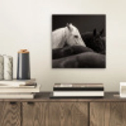 Paarden - Zwart - Wit - Kudde aluminium wit klein -sfeer1
