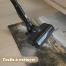 Eenden - Rivier - Landschap - Vlucht - Nostalgisch Deurmat klein -reinigen_FR