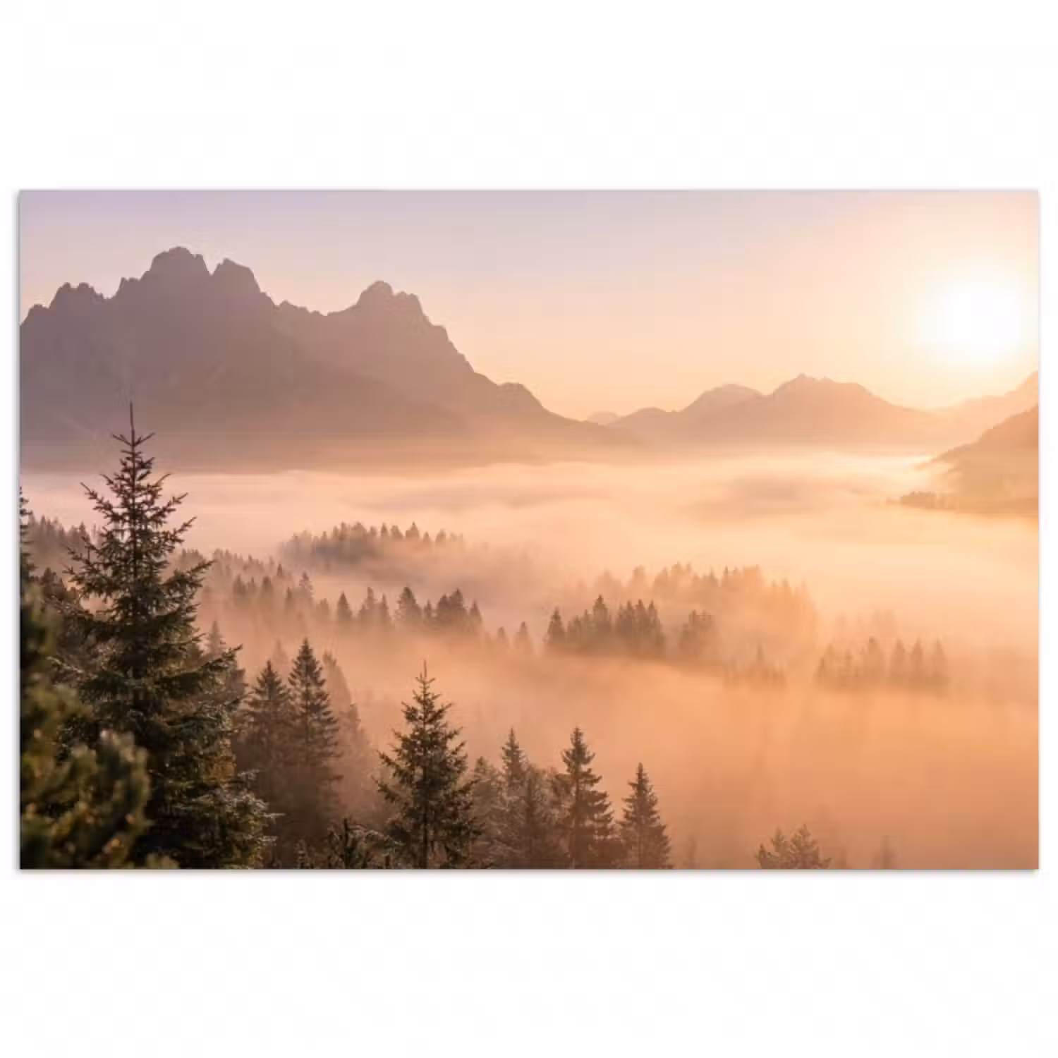 Poster - Sonnenlicht - Nebel - Berge - Bäume