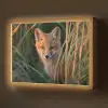 Vos - Oranje - Gras Light Box met batterij (Wandlamp) middel -z3d_website