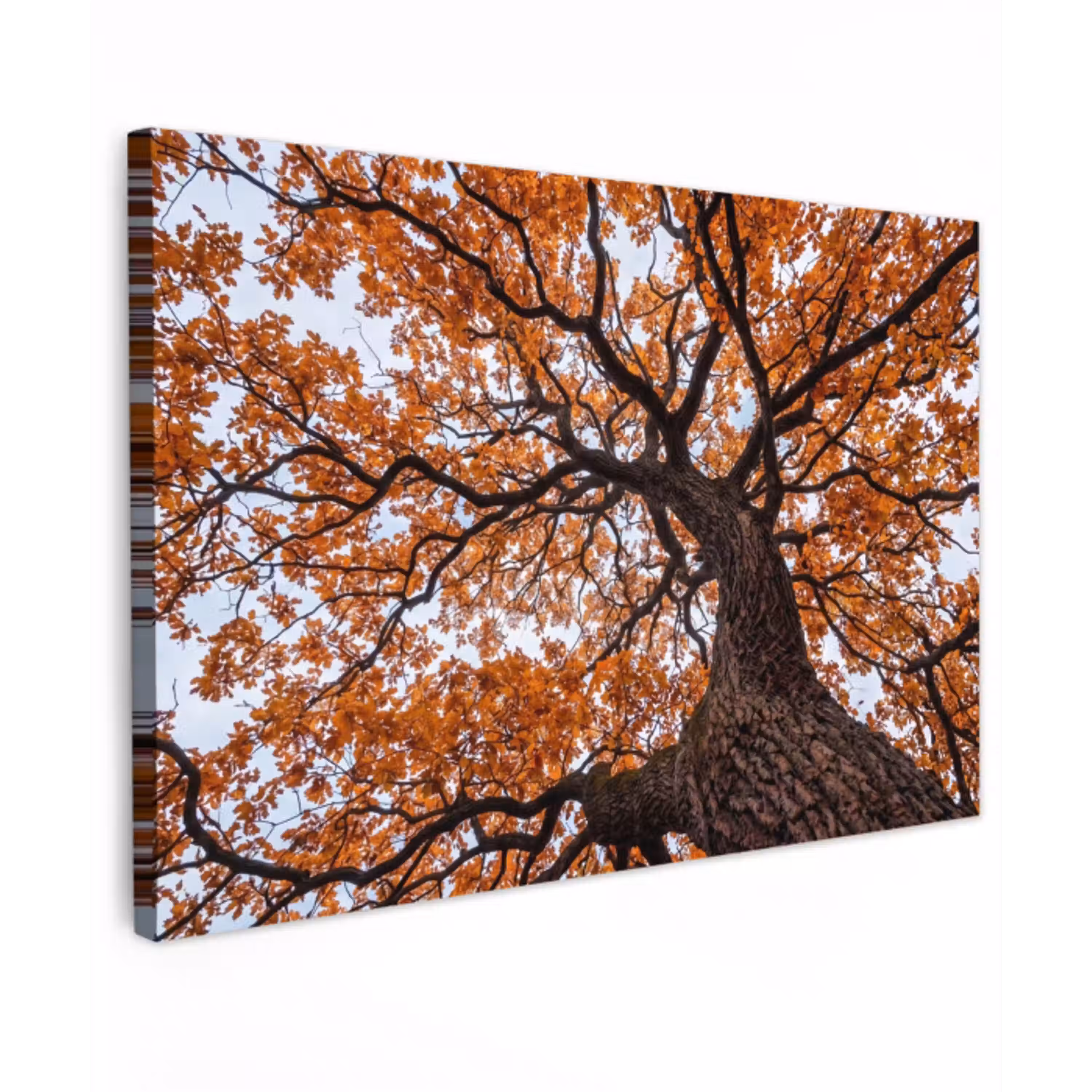 Boom - Bladerdak - Herfst - Oranje - Sfeervol Tuinposter op houten frame 2 cm dik klein -3d