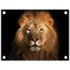 Leeuw in het avondlicht tuinposter los doek klein -3d