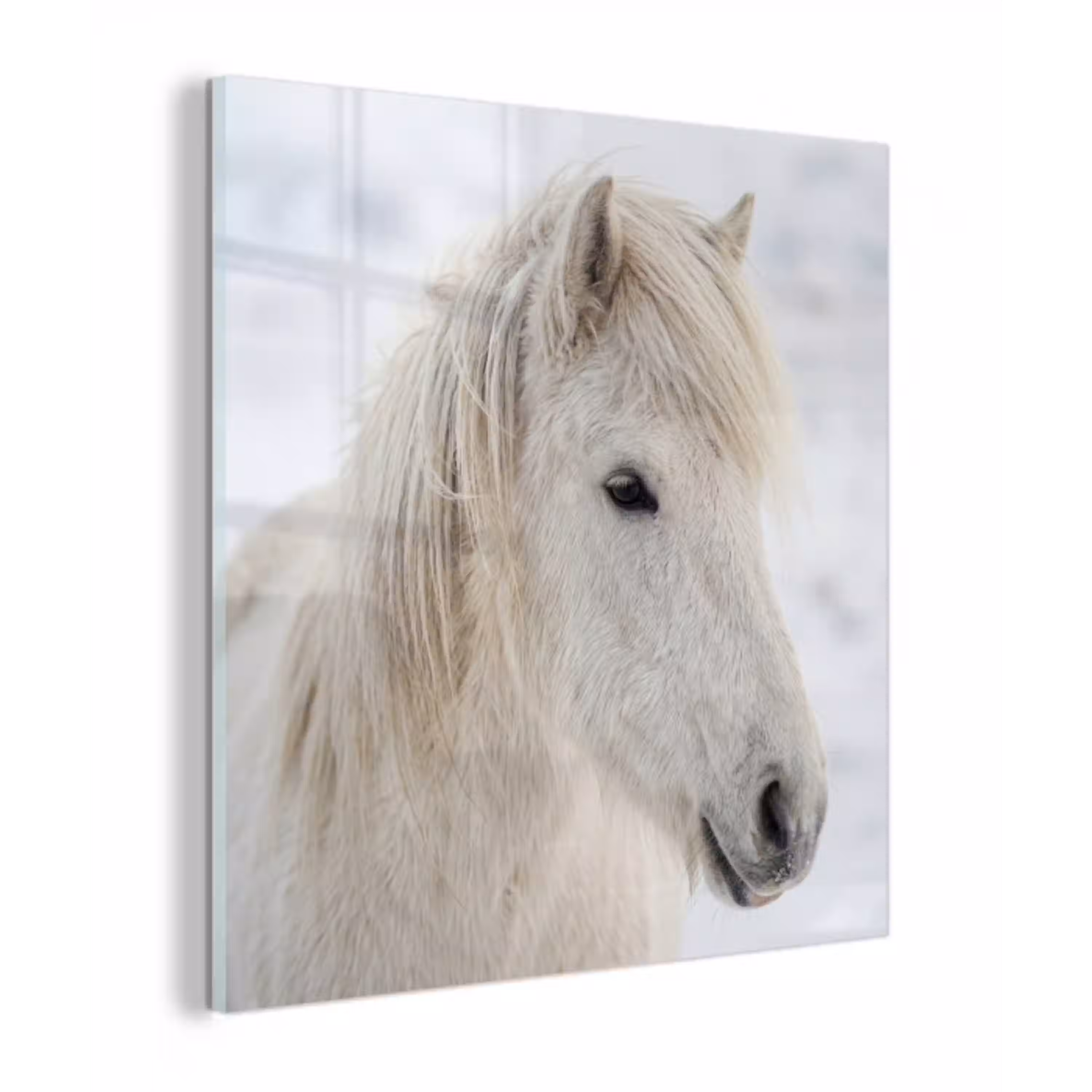 Paard - Kop - Winter - Dieren - Wit plexiglas 5mm klein -z3d