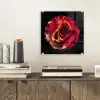 Bloem - Roos - Rood - Zwart plexiglas 5mm klein -sfeer1