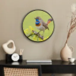 Vogel - Tak - Natuur - Kleurrijk Fotolijst rond zonder passe partout klein -sfeer1