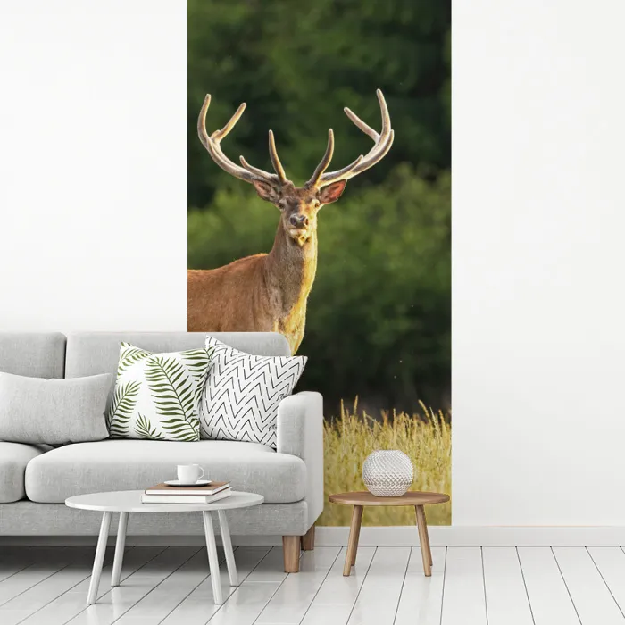 Hert - Gewei - Gras - Natuur - Dieren - Groen fotobehang vinyl groot -woonkamer