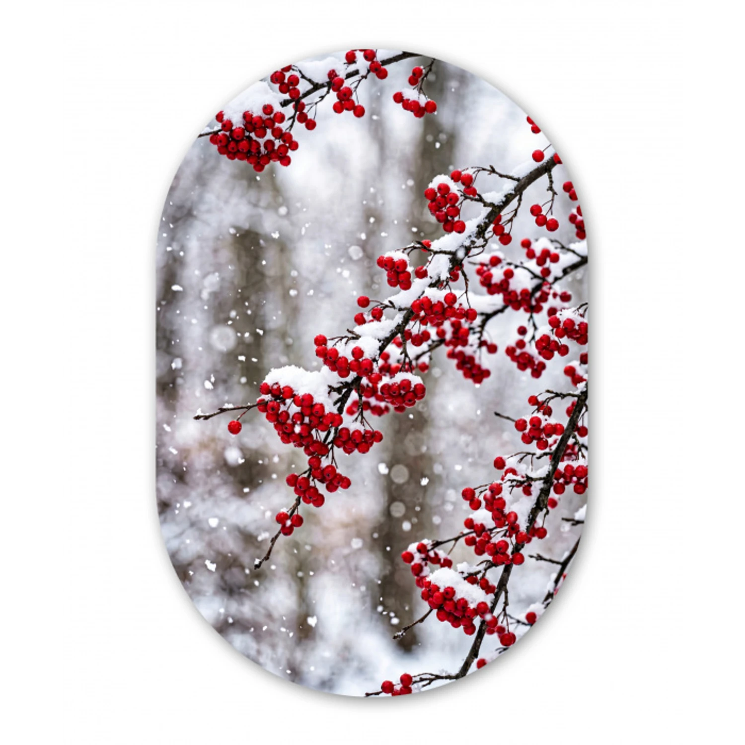 Bessen - Takken - Sneeuw - Winter - Kleurrijk Wandcirkel Ovaal Aluminium middel -3d