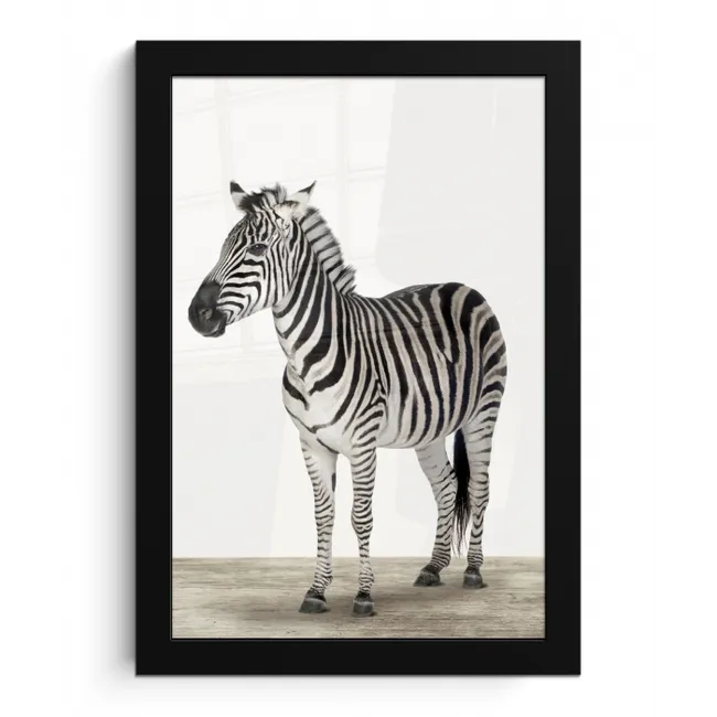 Zebra - Meisjes - Dieren - Kinderen - Jongens fotolijst zwart zonder passe partout klein -3d