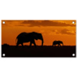 Olifanten - Savanne - Zonsondergang tuinposter los doek klein -3d