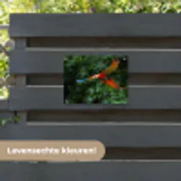 Kleurrijke papegaai is aan het vliegen tuinposter los doek klein -sfeer3