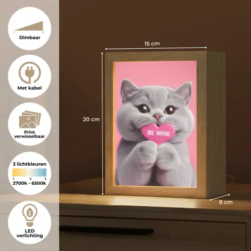 Kat - Valentijn - Roze - Liefde Light Box met kabel (Wandlamp) klein -USP_websiteoverzichtNL