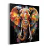 Olifant - Graffiti - Zwart - Dieren - Kleuren plexiglas 5mm klein -z3d