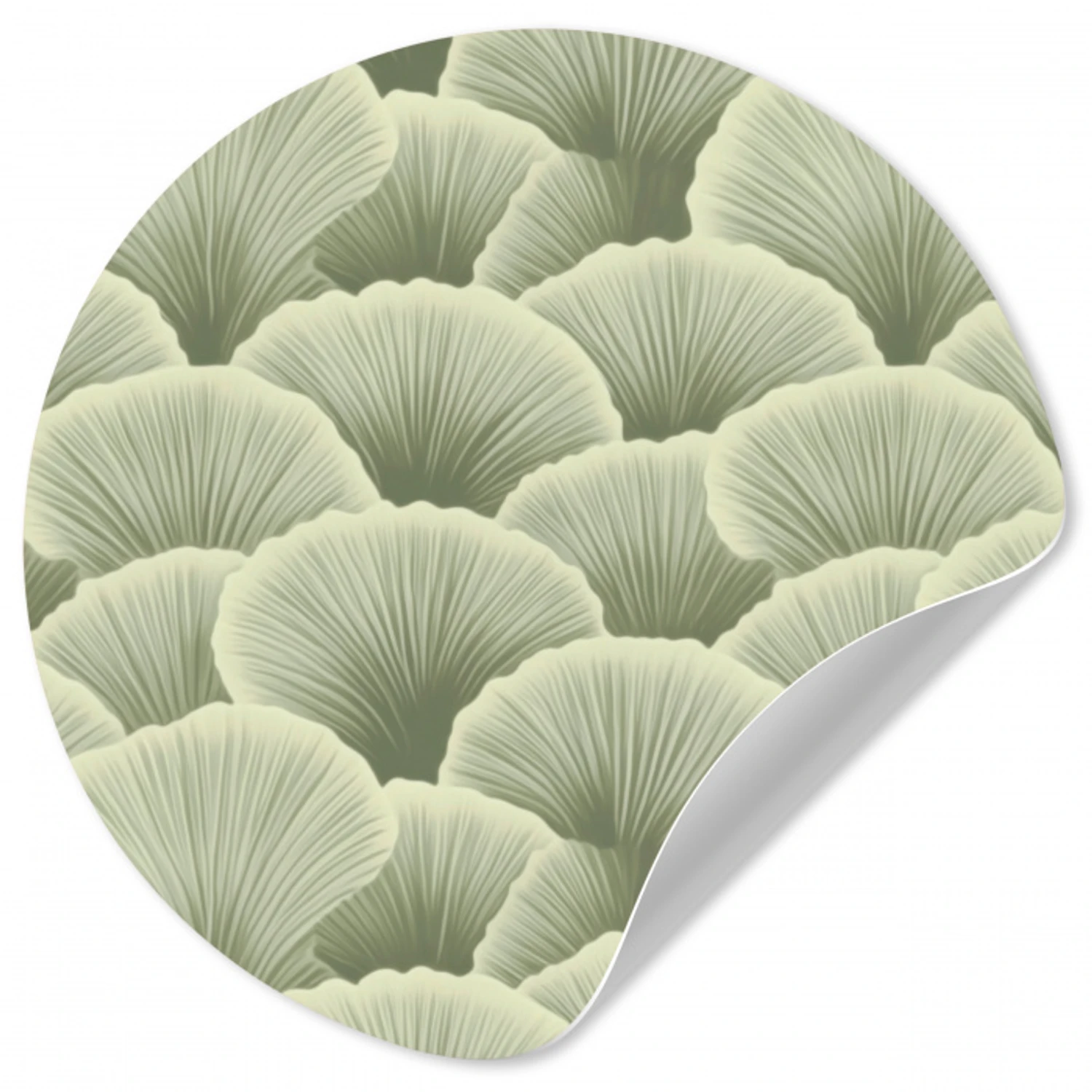 Waaier - Blad - Groen Wandcirkel behangsticker klein 186 -3d