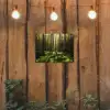Bomen - Bos - Mos - Planten - Zon - Natuur tuinposter los doek klein -sfeer1