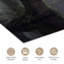 Zwanen - Rivier - Bos poster papier klein -closeup_NL