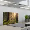 Bos - Zonlicht - Gras keuken achterwand spatscherm klein -3d_schuin