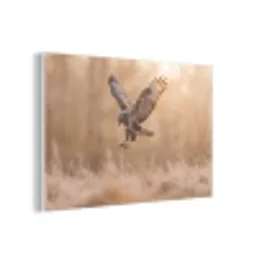 Buizerd - Roofvogel - Natuur - Bruin forex 5mm xxl -3d
