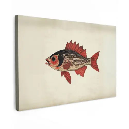 Schubben - Rood - Vis - Vinnen canvas 2cm klein -z3d