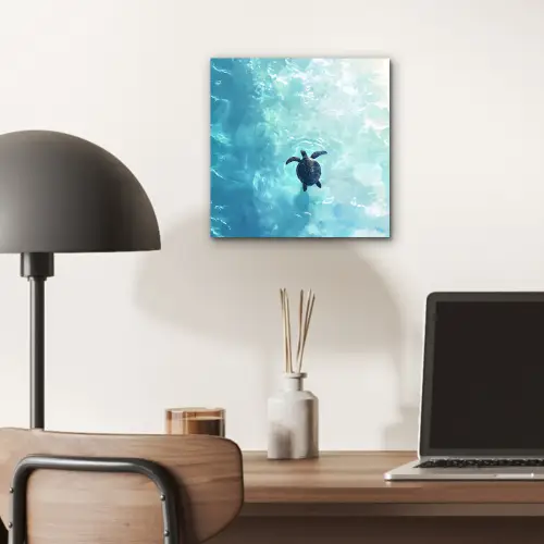 Schildpad - Zee - Blauw - Schittering aluminium wit klein -sfeer5