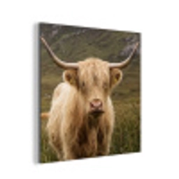 Schotse hooglander - Bergen - Grasveld aluminium wit klein -3d