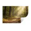 Zonlicht - Bospad - Bomen Muursticker klein -3d