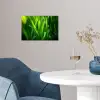 Grassprieten - Lichtinval - Groen poster papier klein -sfeer3
