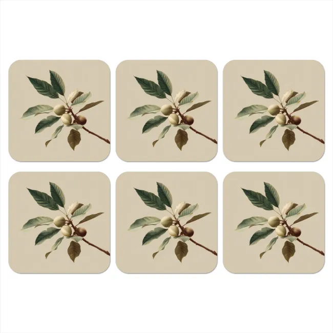 Coaster - Branch - Green Leaves - Fruits