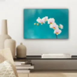 Orchidee - Bloemen - Plant - Wit - Paars canvas 2cm klein -sfeer6