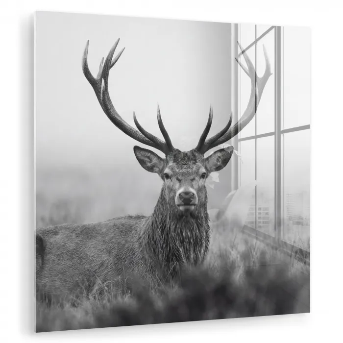 Hert - Mistig - Zwart - Wit plexiglas 5mm klein -zzzproduct_nieuw